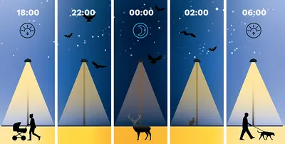 Schréder's FlexiWhite solution ensures safety for people and preserves nature at night